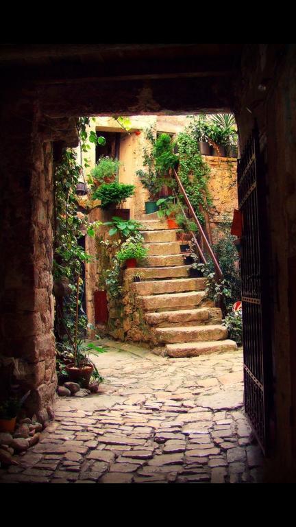 Apartma Carmela *